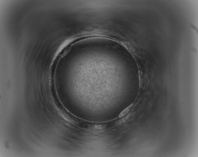 X0000097650056200803071519