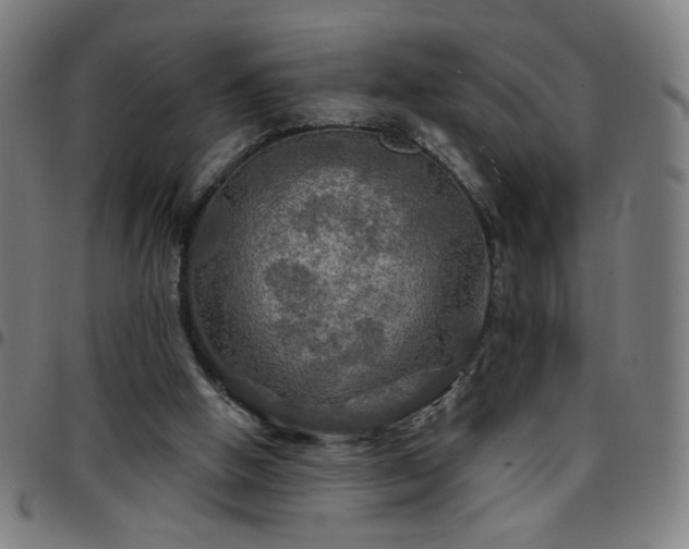 X0000097650058200803071519