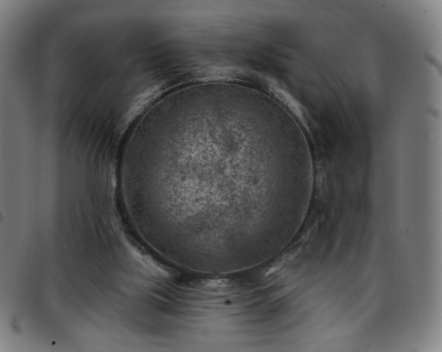 X0000097650059200803071519