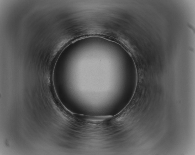 X0000097650060200803071519