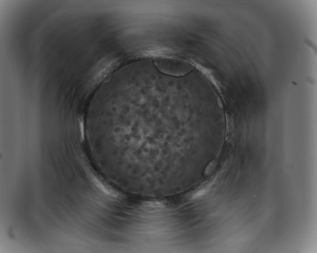 X0000097650061200803071519