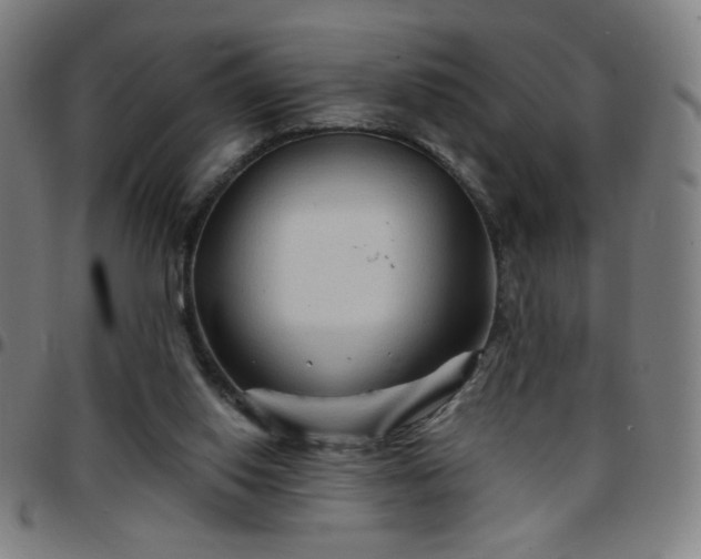 X0000097650062200803071519