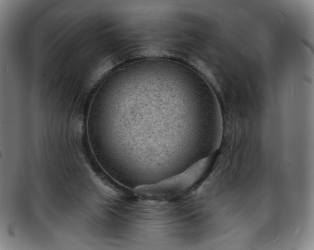 X0000097650063200803071519