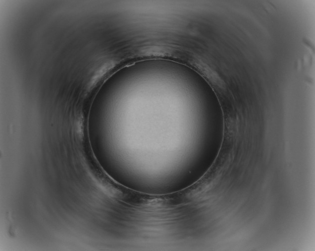 X0000097650064200803071519