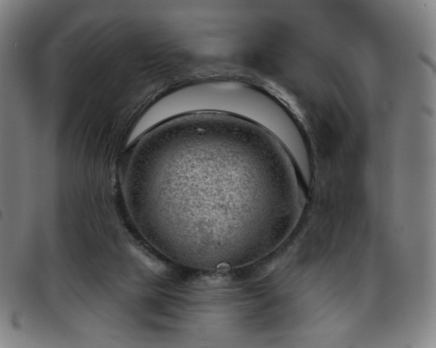 X0000097650065200803071519