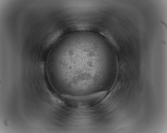 X0000097650066200803071519