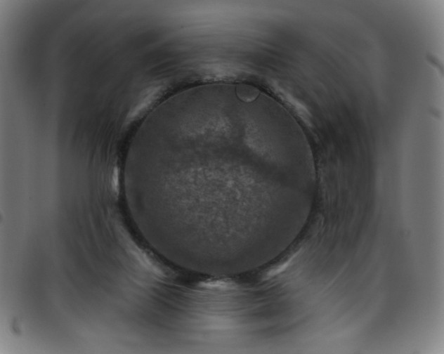 X0000097650067200803071519