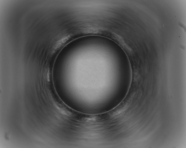 X0000097650068200803071519