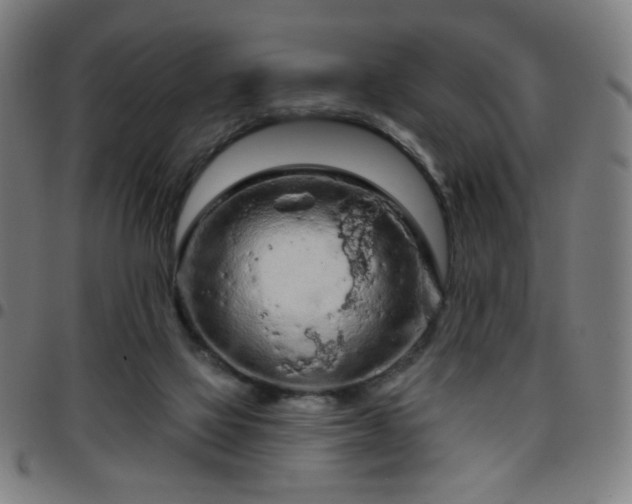 X0000097650069200803071519