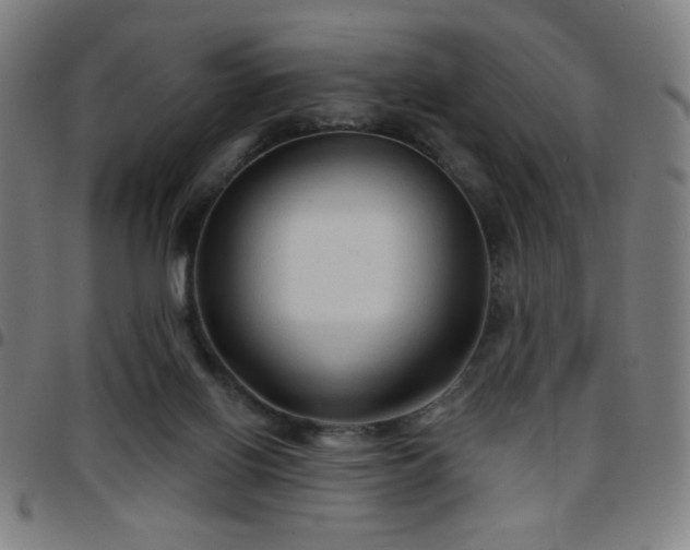 X0000097650070200803071519