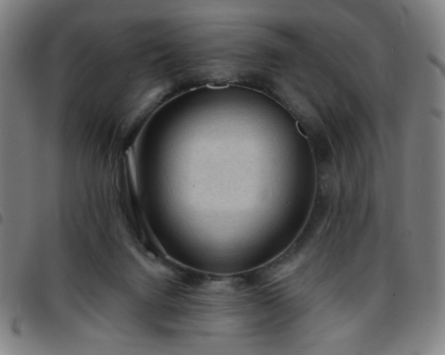 X0000097650072200803071519