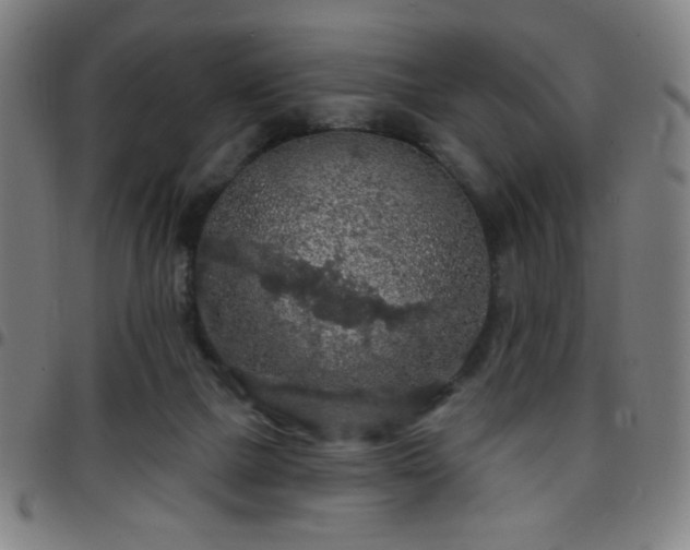 X0000097650073200803071519