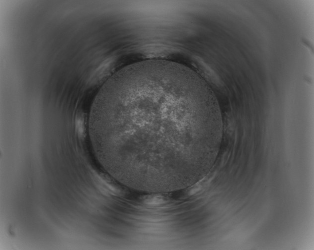 X0000097650074200803071519