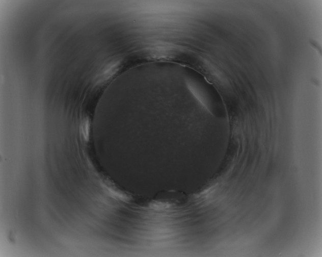 X0000097650076200803071519