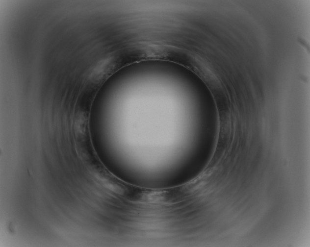 X0000097650078200803071519