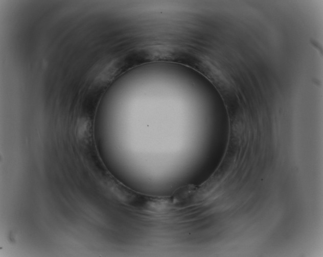 X0000097650079200803071519