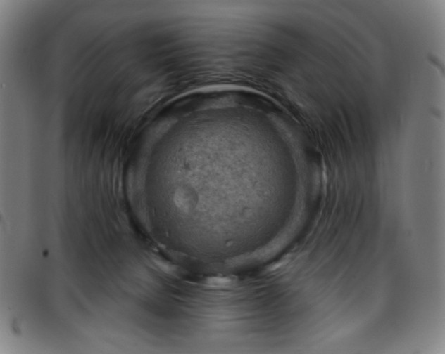 X0000097650080200803071519