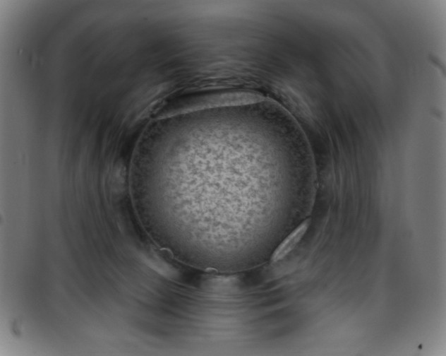 X0000097650081200803071519