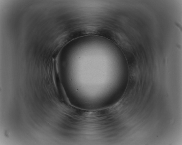 X0000097650082200803071519