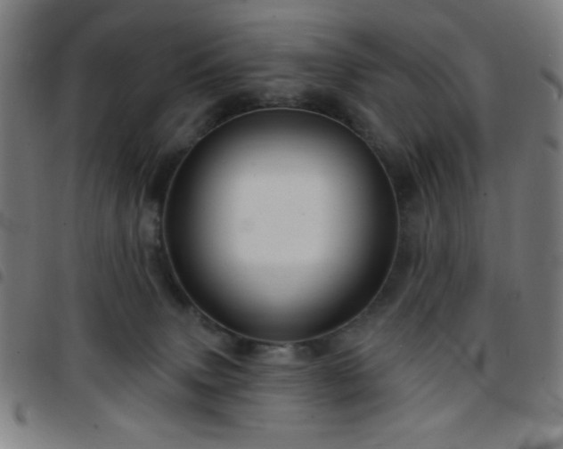 X0000097650083200803071519