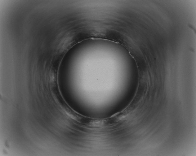 X0000097650084200803071519