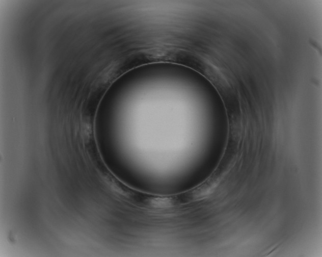 X0000097650085200803071519