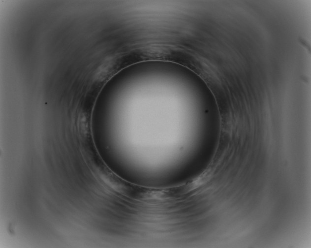 X0000097650086200803071519