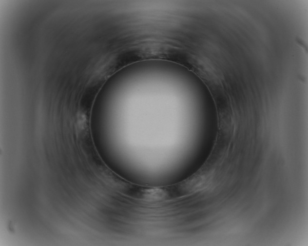 X0000097650087200803071519