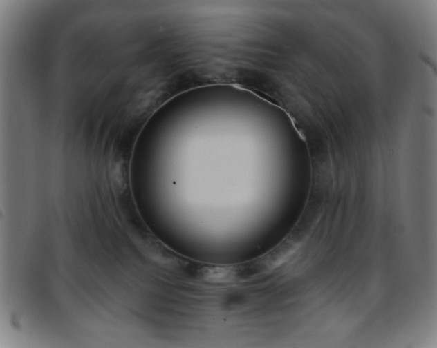 X0000097650088200803071519