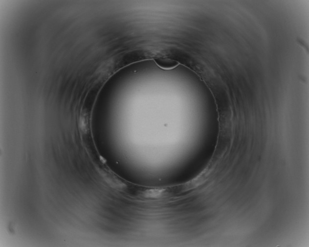 X0000097650090200803071519