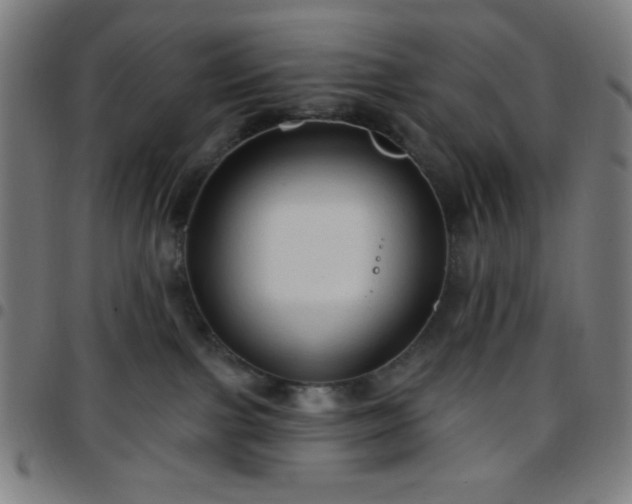 X0000097650091200803071519