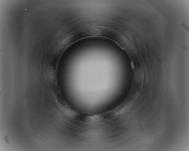 X0000097650092200803071519