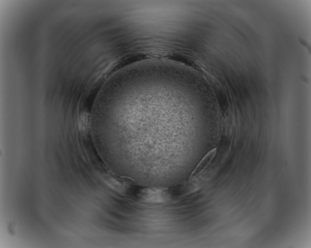 X0000097650093200803071519