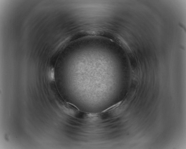 X0000097650095200803071519