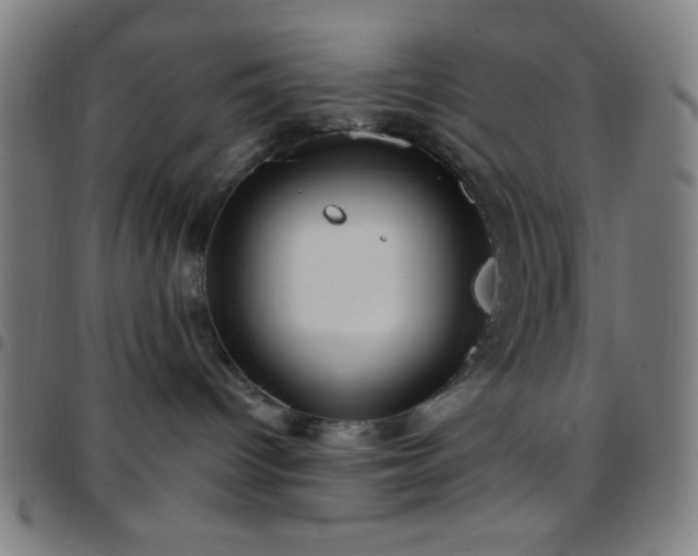 X0000097650096200803071519