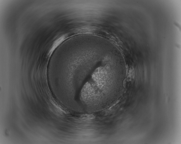 X0000097650099200803071518