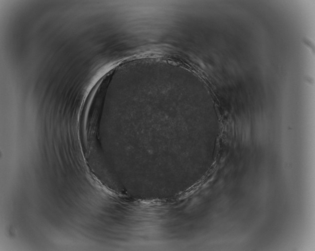 X0000097650100200803071518