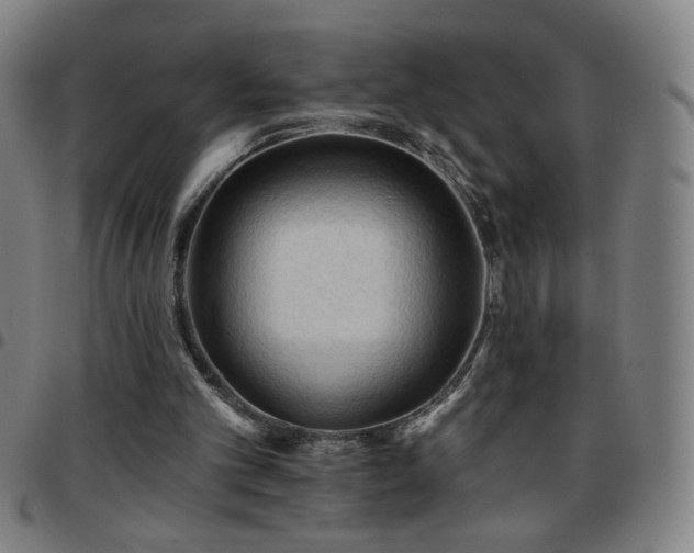 X0000097650101200803071518