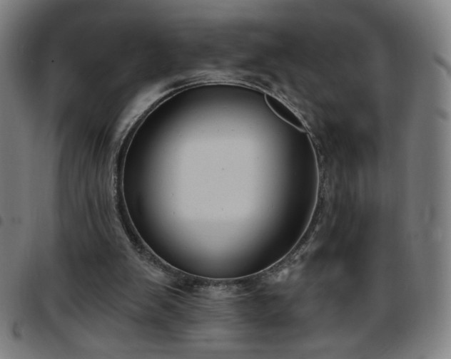 X0000097650103200803071518