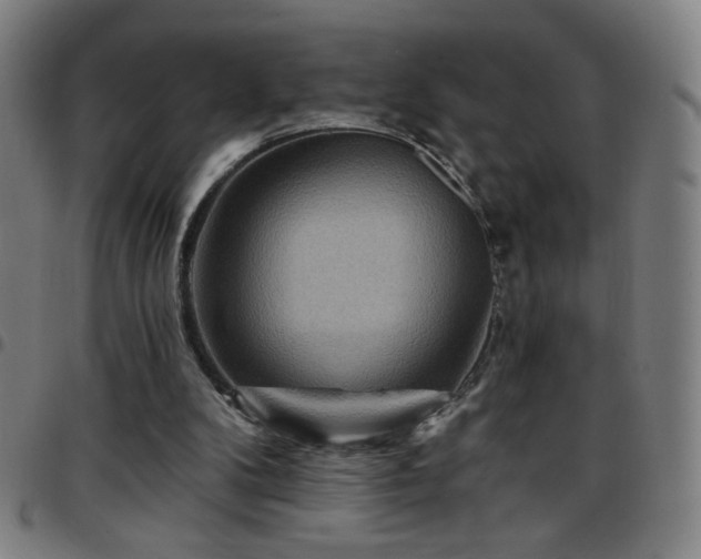 X0000097650104200803071518