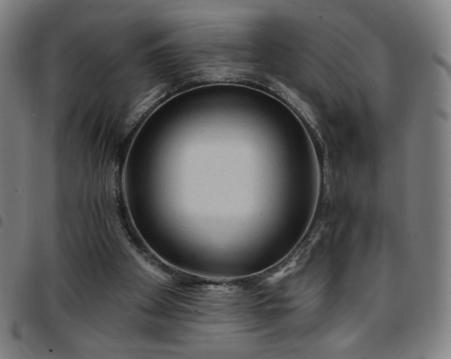 X0000097650105200803071518