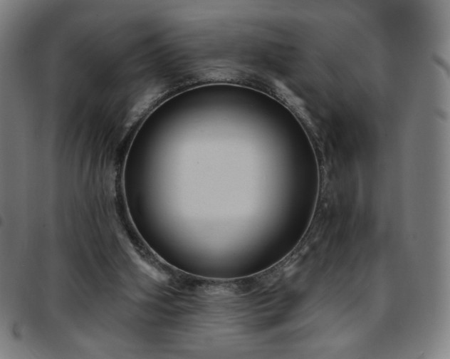 X0000097650106200803071518