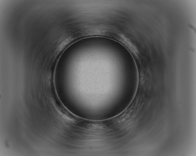 X0000097650107200803071518