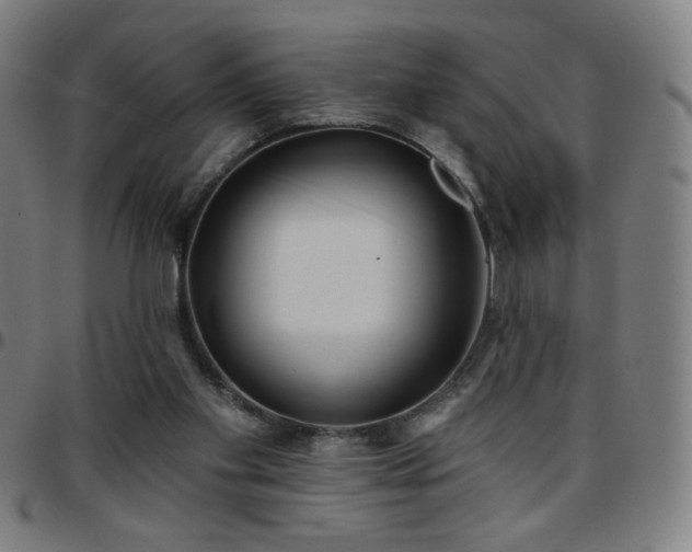 X0000097650109200803071518