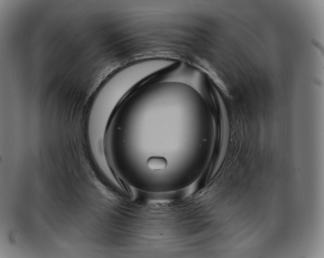 X0000097650110200803071518