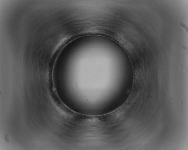 X0000097650112200803071518