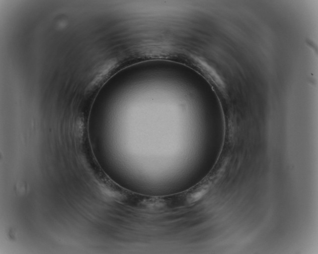 X0000097650113200803071518