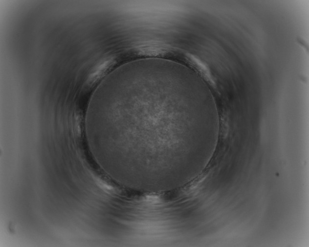 X0000097650114200803071518