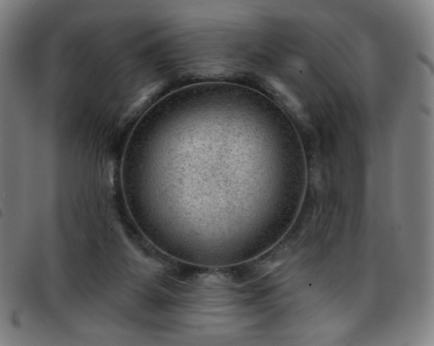 X0000097650115200803071518