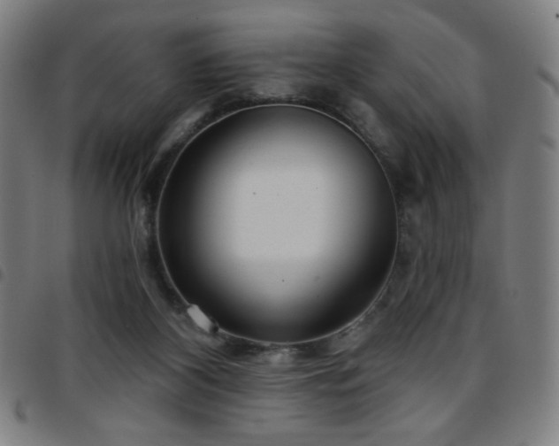 X0000097650116200803071518